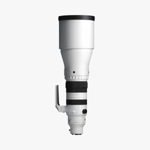 300-600mm F4 DG OS | Sports