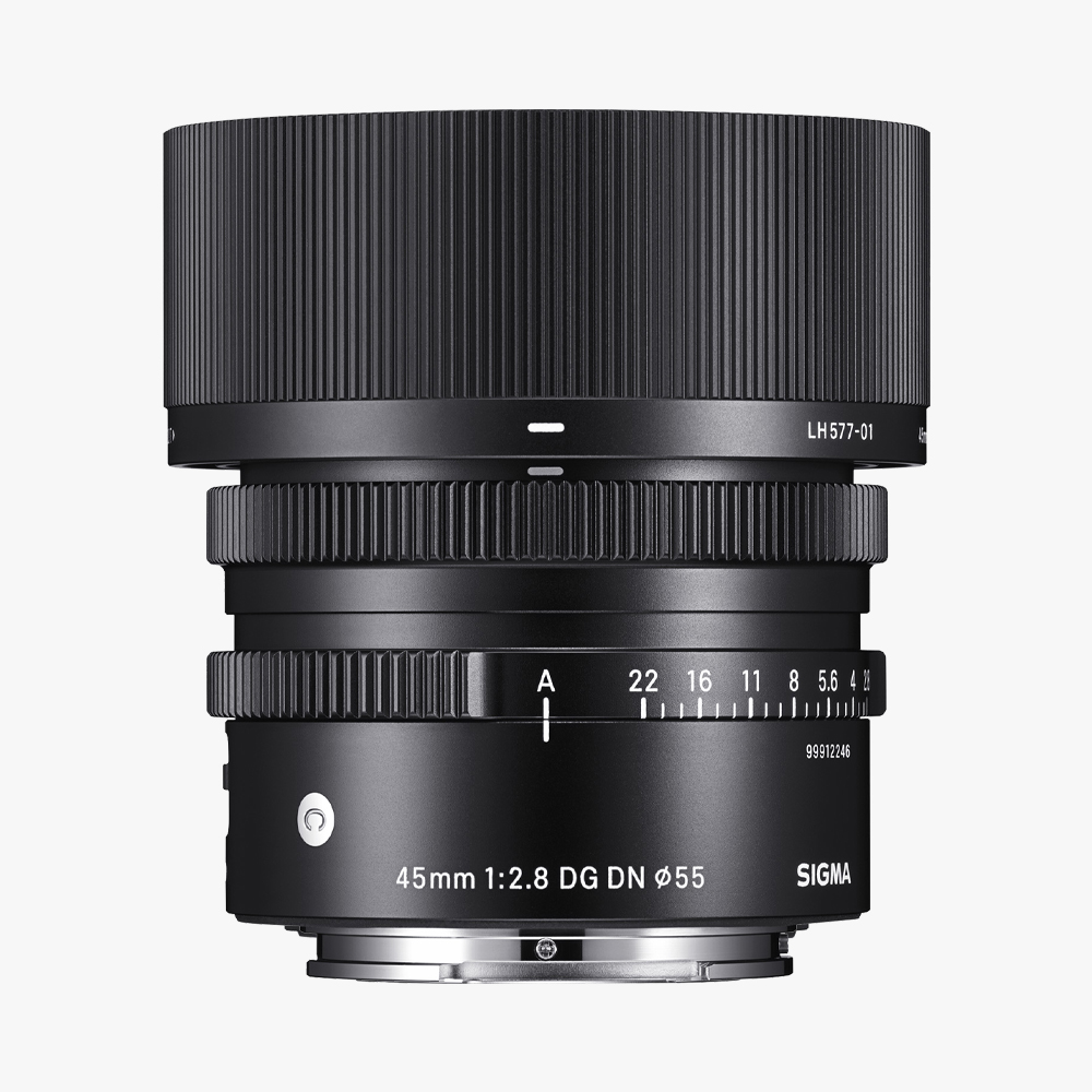 45mm F2.8 DG | Contemporary – E mount