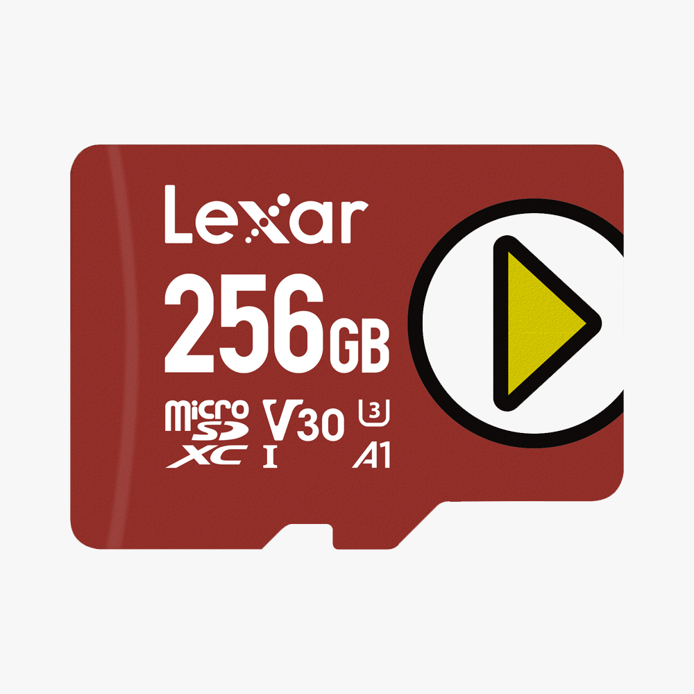 256GB PLAY MICRO SDXC V30-150MB/s
